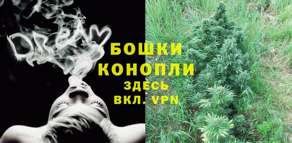 шишки Волосово