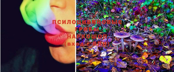 шишки Волосово