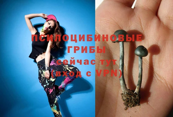 не бодяженный Володарск