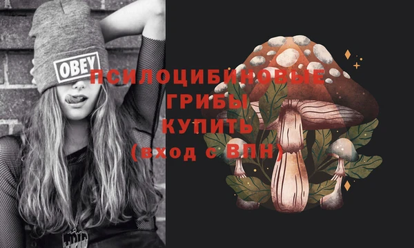 не бодяженный Володарск